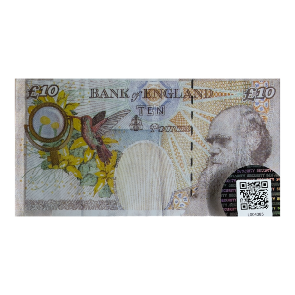 Di Faced Tenner – Image 4