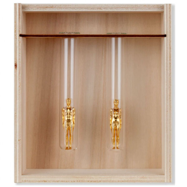 Adam et Eve Gold – Image 3