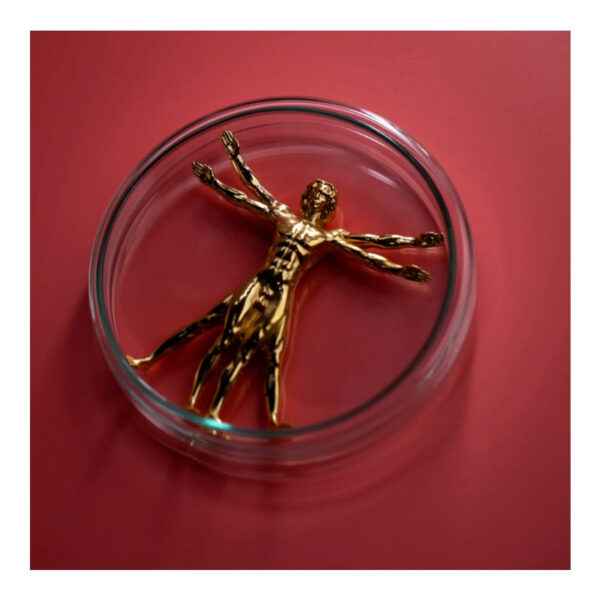 Homme de Vitruve Gold- Vitruvian Man – Image 3