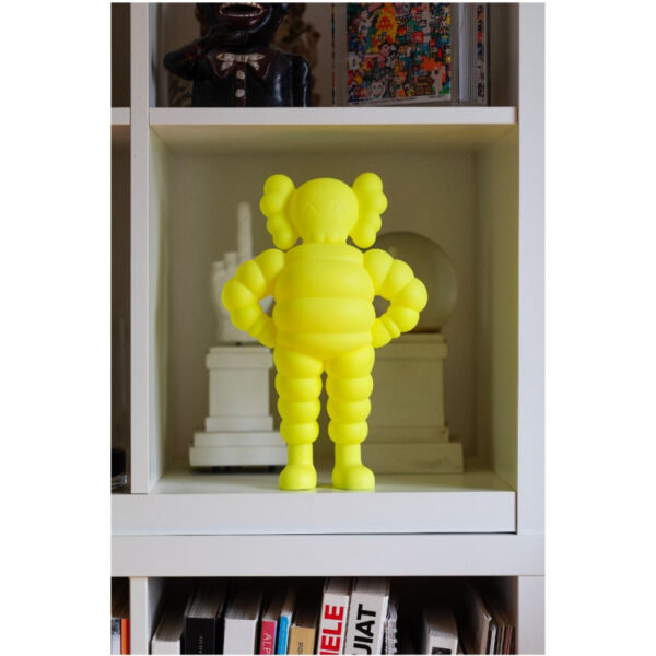 Chum Yellow – Image 2
