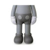 Companion Grey – Image 4