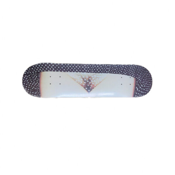 Skate Box – SK8 Photo Series – Image 7