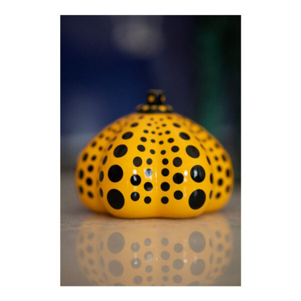 Citrouille Pumkin – 1ère édition