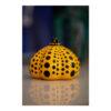Citrouille Pumkin – 1ère édition - Image 2