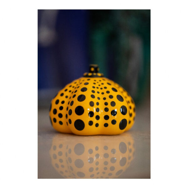 Citrouille Pumkin – 1ère édition – Image 2