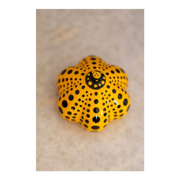 Citrouille Pumkin – 1ère édition – Image 3