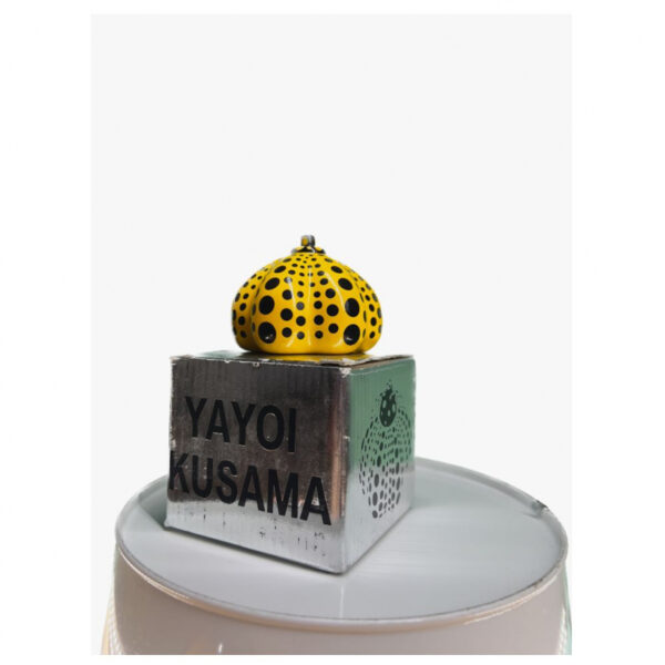 Citrouille Pumkin – 1ère édition – Image 5