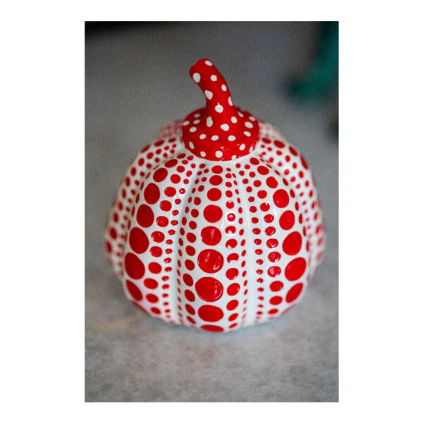 Citrouille Pumkin rouge – Image 2