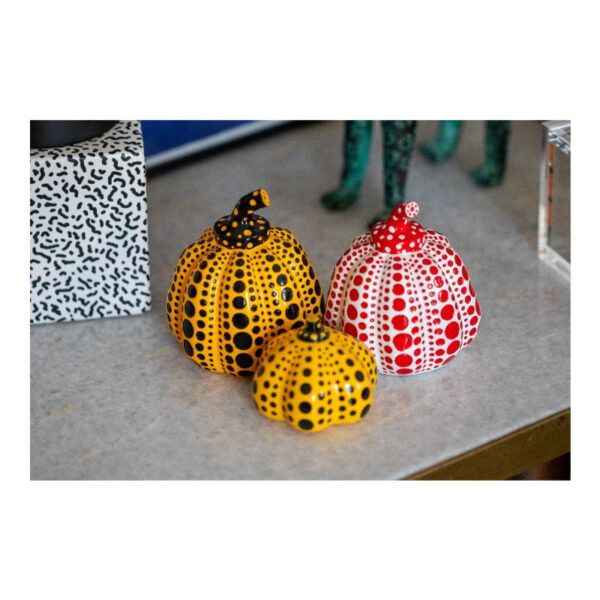 Citrouille Pumkin rouge – Image 4