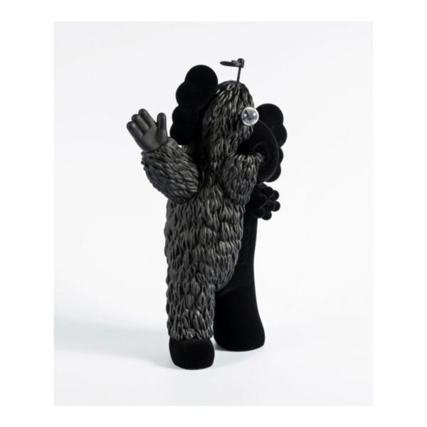 kaws kachamukku black 16994 6741f5dc70a54.jpg