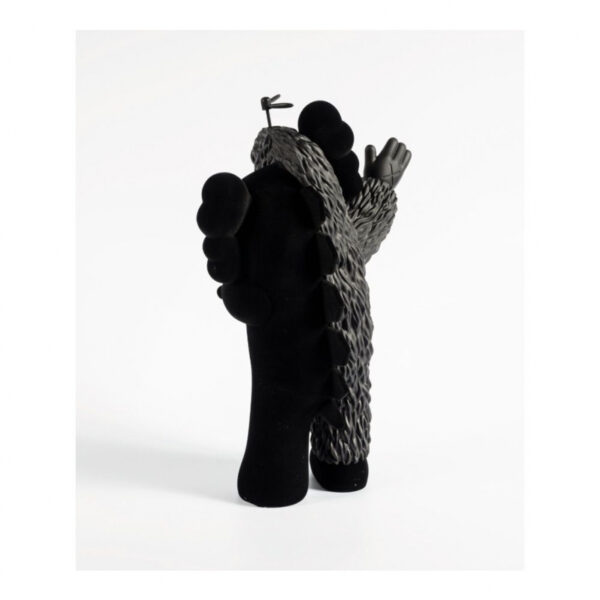 kaws kachamukku black 16994 6741f5e5d6e42.jpg