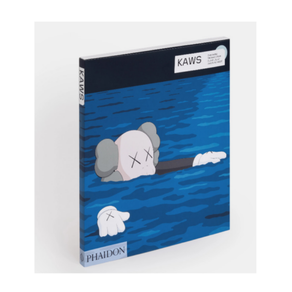 kaws livre kaws edition phaidon 790 673db9f4afb6b.png
