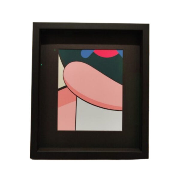 sans titre (edition limitée kaws x mocad)
