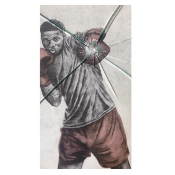 andrew scott the boxer 18932 67bc95c2d3a19.png