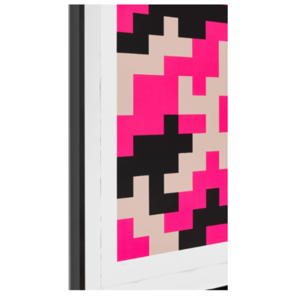 invader camo xxl rose 19235 67daa952c88f3.png