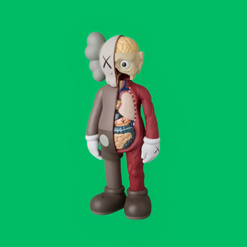 companion flayed brown