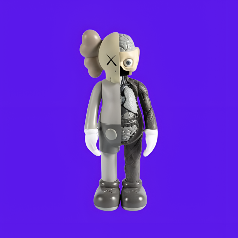 companion flayed grey