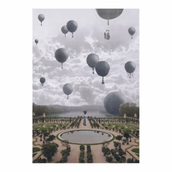 2aa024f391e5375bb0cf6347b5380cc4 julien raffin versailles print.png