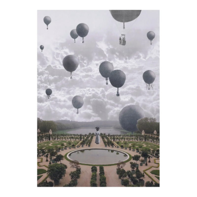 2aa024f391e5375bb0cf6347b5380cc4 julien raffin versailles print.png