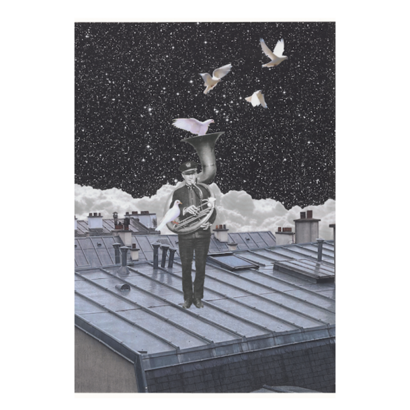 bf7c33c3cf02af562f32fc90b81834af julien raffin toit de p print.png