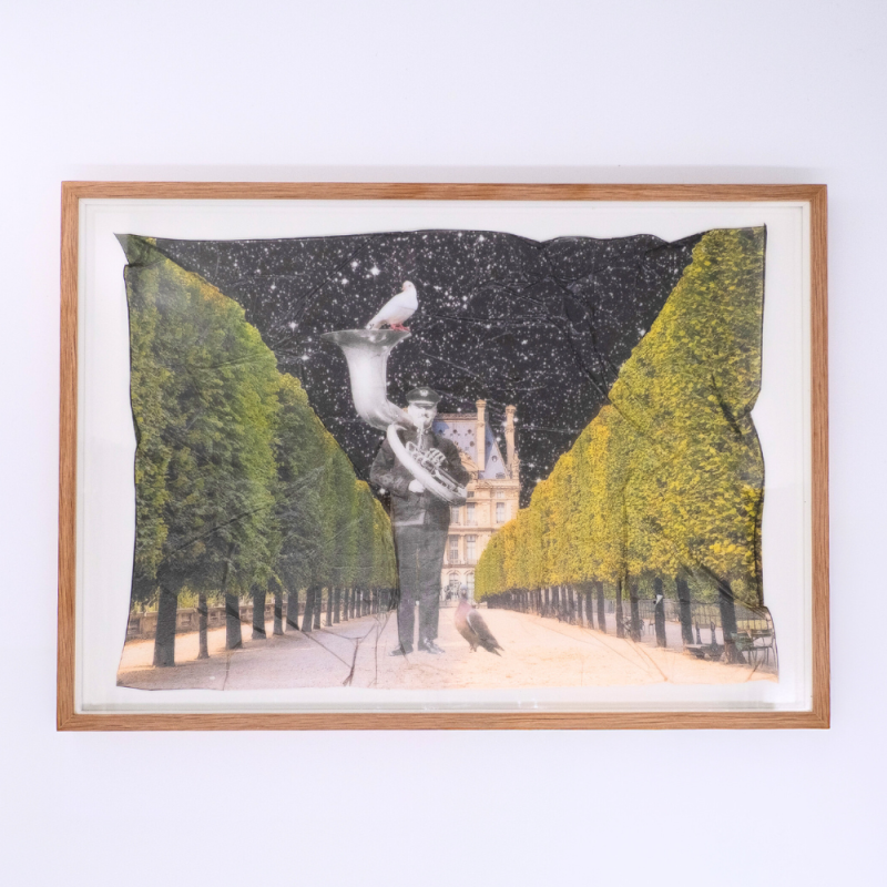 fc4f766f5c27c9eb5fb119cfed773f07 jardin des tuileries edition.png