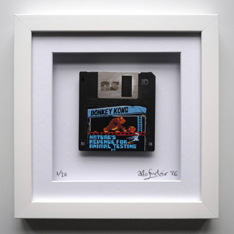 08b848e47cd62435255a4d8f2bc83d03 donkey kong nature s revenge.png