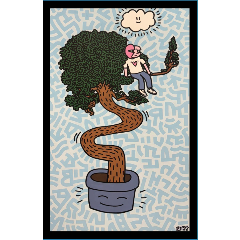 50490f964d29b63985dc315079ec6f16 bonzai dreams.png