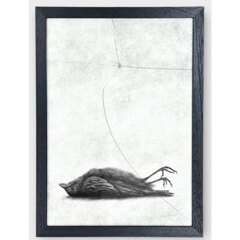 andrew scott the window 69bd5c99d5d6f.jpg